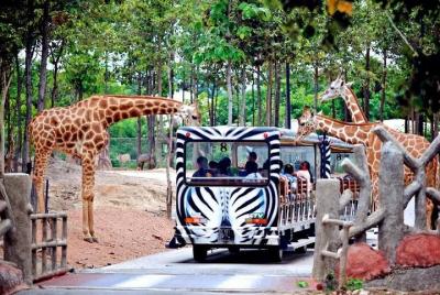 Chiang Mai Night Safari Park Admission Ticket with Hotel Transfer Chiang Mai Night Safari Park Admission Ticket with Hotel Transfer