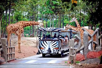 Chiang Mai Night Safari Park with Round Trip Transfer Chiang Mai Night Safari Park with Round Trip Transfer