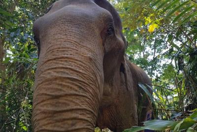 Morning Half Day Tour Morning Half Day Tour