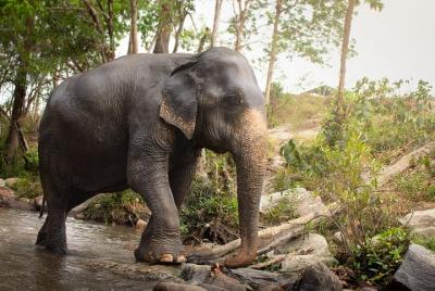 Afternoon Half Day Tour Afternoon Half Day Tour