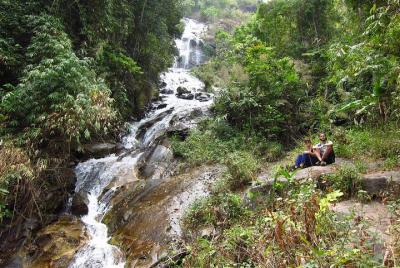 Jungle Wisdom Survival Trek Jungle Wisdom Survival Trek