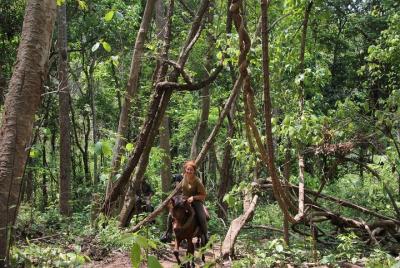 One-day horseback riding adventure near Chiang Mai One-day horseback riding adventure near Chiang Mai