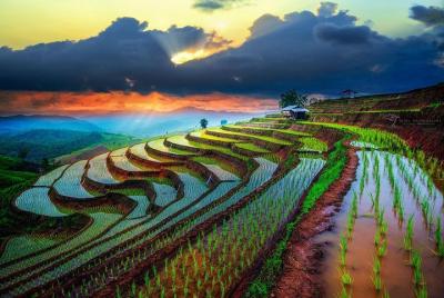 Highlights of Chiang Mai Highlights of Chiang Mai