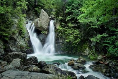 Must in Chiangmai Kiss the Cloud, Coffee at Tree Top, Sleep with Waterfall Must in Chiangmai Kiss the Cloud, Coffee at Tree Top, Sleep with Waterfall