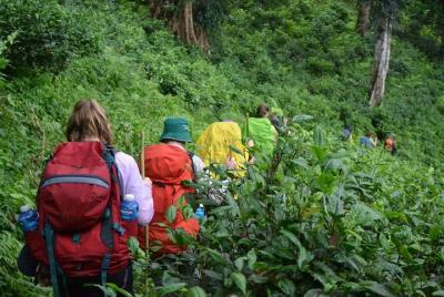 3-Day Chiang Dao Mountain Trek 3-Day Chiang Dao Mountain Trek