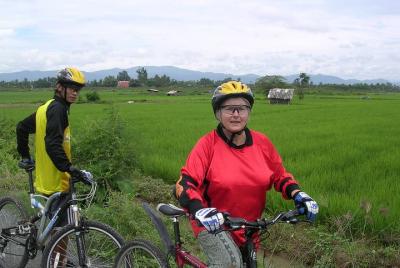 Rice Field Visions Rice Field Visions