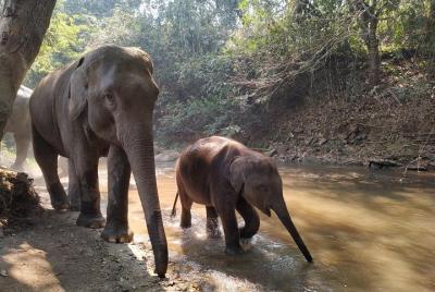 Morning Half Day Tour  Morning Half Day Tour