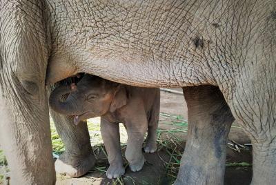 Afternoon Half Day Tour Afternoon Half Day Tour