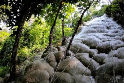 Sticky Waterfall Cycling Tour Sticky Waterfall Cycling Tour