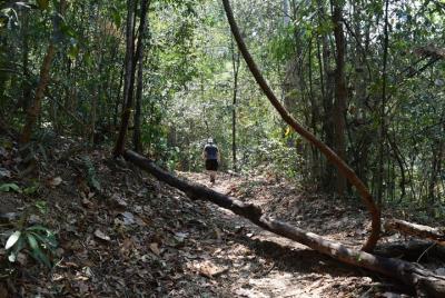 Half Day Doi Suthep Temple and short trekking on monk trail (Private Tour) Half Day Doi Suthep Temple and short trekking on monk trail (Private Tour)