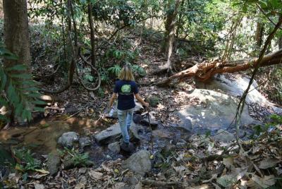 Half Day Trekking Doi Suthep - Pui National Park Area (Private Tour) Half Day Trekking Doi Suthep - Pui National Park Area (Private Tour)