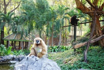 Chiang Mai Zoo Admission Ticket with Return Transfer  Chiang Mai Zoo Admission Ticket with Return Transfer