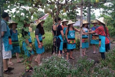 Half Day Cooking Class Including Market Tour from Chiang Mai Half Day Cooking Class Including Market Tour from Chiang Mai