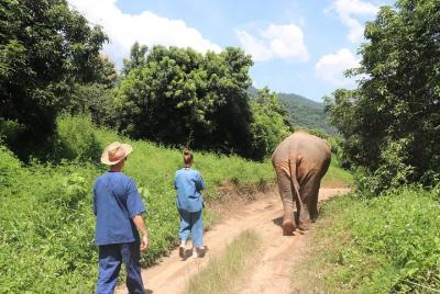Full Day Visit Chiang Mai Eco Elephant Care Full Day Visit Chiang Mai Eco Elephant Care