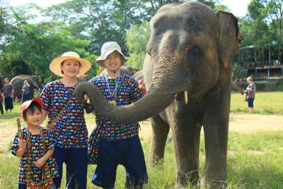 Chiang Mai Single Day Visit to Elephant Nature Park (No Riding) Chiang Mai Single Day Visit to Elephant Nature Park (No Riding)