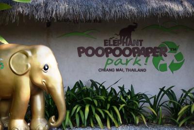 An Elephant-themed Recycling Initiative An Elephant-themed Recycling Initiative