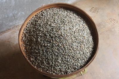 Suan Lahu Coffee and Tribal Experience from Chiang Mai Suan Lahu Coffee and Tribal Experience from Chiang Mai