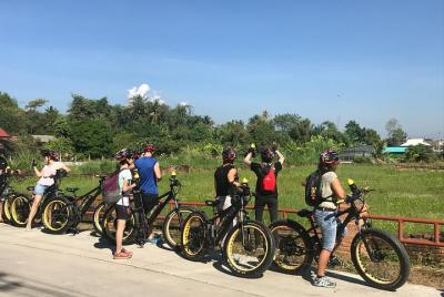 Half-day Ping River and rice paddies E-bike adventure (flat land, GUIDED) Half-day Ping River and rice paddies E-bike adventure (flat land, GUIDED)