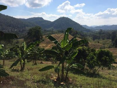 Boat Ride, Karen And Akha Hill Tribes Village