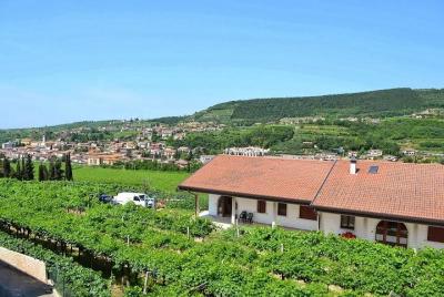 Valpolicella - The wine paradise Valpolicella - The wine paradise