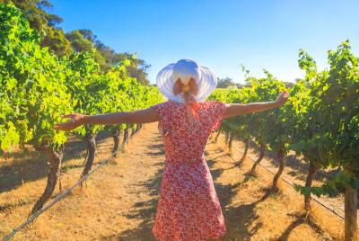 From Verona and Garda: Visit to Sirmione and Lugana Wine Experience From Verona and Garda: Visit to Sirmione and Lugana Wine Experience
