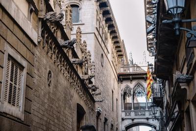 Guided Walking Tour of Barcelona History and Curiosities