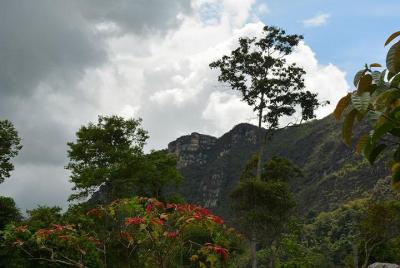 Quininí National Natural Park Quininí National Natural Park