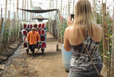 Otavalo Indian Market and Rose Farm Shared Tour