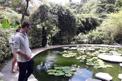 Flowers and gardens tour in San Salvador Flowers and gardens tour in San Salvador