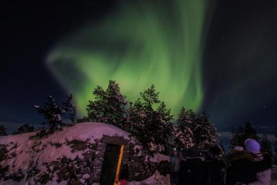 Northern Lights Hunting by Minibus from Rovaniemi