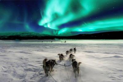 Northern Lights show with us on a VIP car with a personal guide R