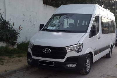 Enfidha private minibus arrival & departure airport transfer to H Enfidha private minibus arrival & departure airport transfer to H