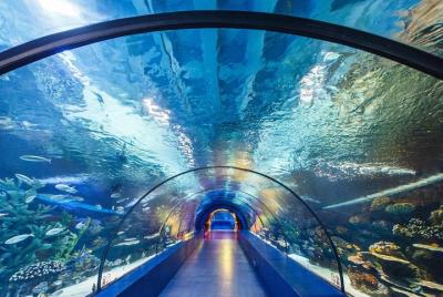 Antalya Aquarium with 3 Types Ticket Options + Hotel Transfers Antalya Aquarium with 3 Types Ticket Options + Hotel Transfers