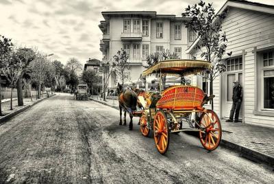 Istanbul Princes’ Islands Boat Trip with Lunch/ (Optional Horse C