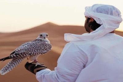 Arabian Desert Experience In Dubai  Arabian Desert Experience In Dubai