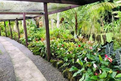Private Denarau Shore Excursion - Temple, Shopping, Market, Garde