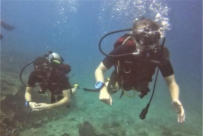 PADI Discover Scuba Dive Experience