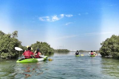 Mangrove Kayaking Mangrove Kayaking