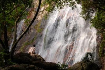 Koh Samui 4WD Jeep Jungle Tour Koh Samui 4WD Jeep Jungle Tour