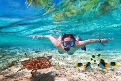 Full Day Ko Samui Island Boat Tour Full Day Ko Samui Island Boat Tour