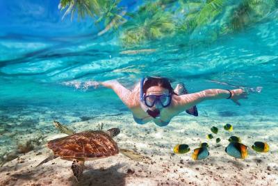 Koh Samui Island Tour by Boat Koh Samui Island Tour by Boat