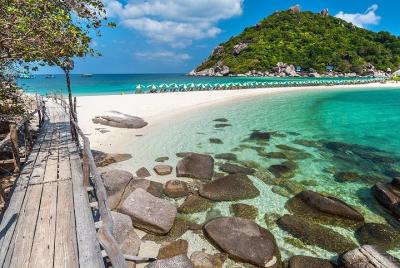 Koh Nangyuan Snorkeling and Koh Tao Tour by Catamaran Cruise from Koh Samui Koh Nangyuan Snorkeling and Koh Tao Tour by Catamaran Cruise from Koh Samui