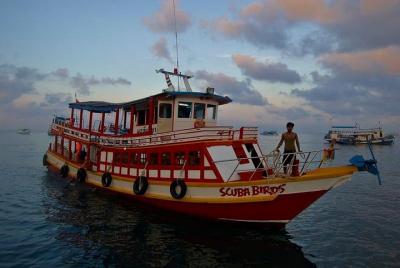 Diving Trip at Koh Tao from Koh Samui for certified divers