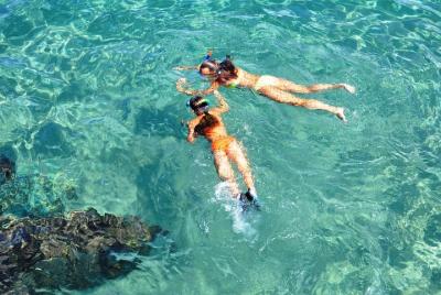Pristine snorkelling off Koh Samui Pristine snorkelling off Koh Samui