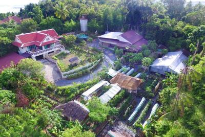 Organic Micro Farm and Thai Cooking Class in Koh Samui