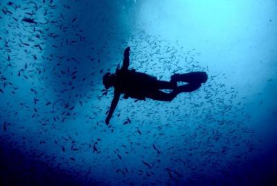 Open Water Diving Course