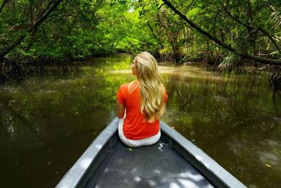 Tung Yee Peng Mangrove Forest Tour By Longtail Boat From Koh Lant