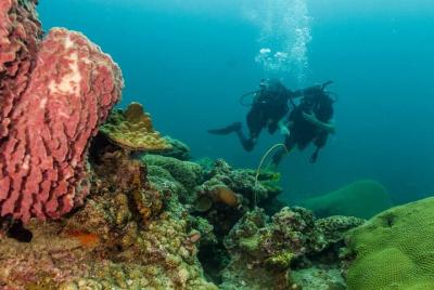 Discover SCUBA Diving Discover SCUBA Diving