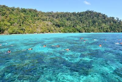Tin Adventure Sea Tour to Koh Rok from Koh Lanta
