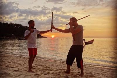 Martial Arts Principles - private seminars (4x2h) Martial Arts Principles - private seminars (4x2h)